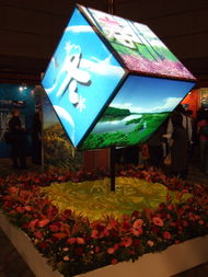 香港中華廠商聯(lián)合會(huì)展覽服務(wù)有限公司 引領(lǐng)香港會(huì)議及展覽行業(yè)的卓越力量